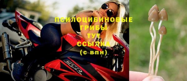 ГАЛЛЮЦИНОГЕННЫЕ ГРИБЫ Алзамай