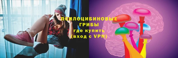 ГАЛЛЮЦИНОГЕННЫЕ ГРИБЫ Алзамай